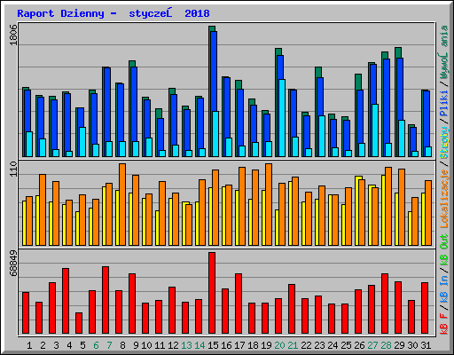 Raport Dzienny -  styczeń 2018