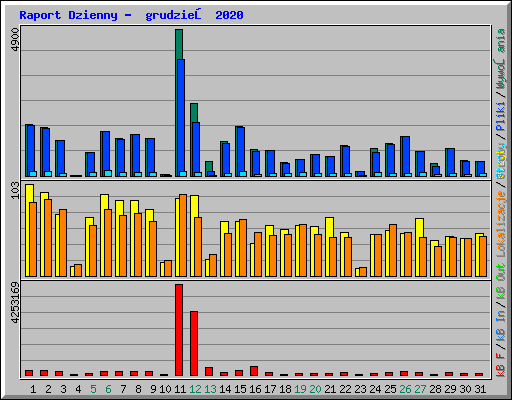 Raport Dzienny -  grudzień 2020