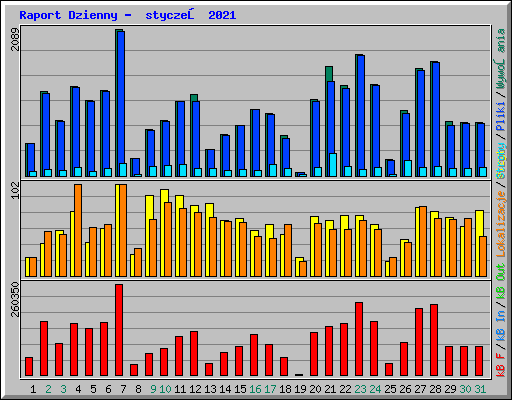 Raport Dzienny -  styczeń 2021