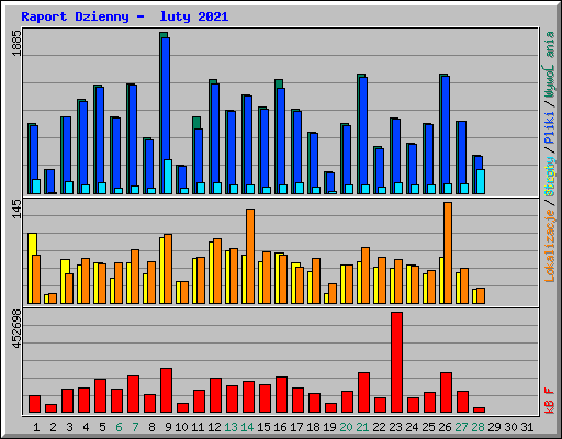Raport Dzienny -  luty 2021