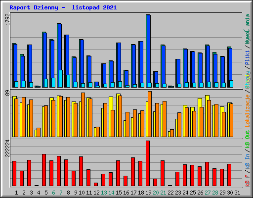 Raport Dzienny -  listopad 2021