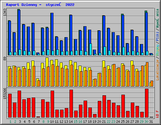 Raport Dzienny -  styczeń 2022