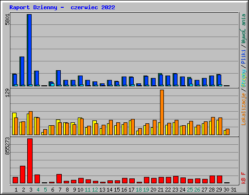 Raport Dzienny -  czerwiec 2022