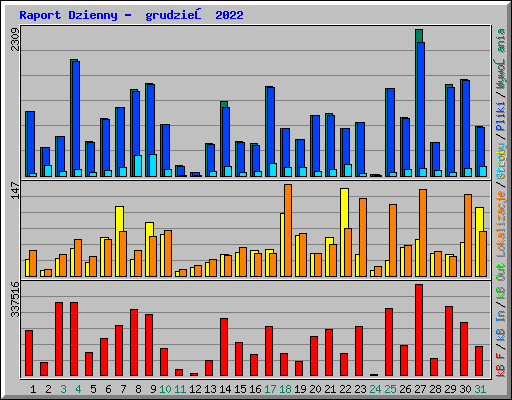 Raport Dzienny -  grudzień 2022