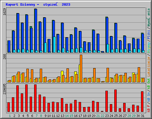 Raport Dzienny -  styczeń 2023