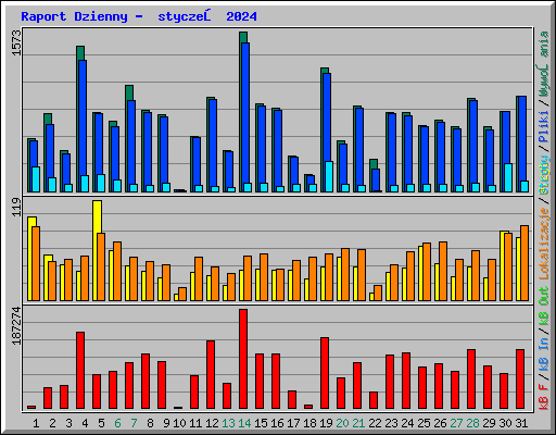 Raport Dzienny -  styczeń 2024