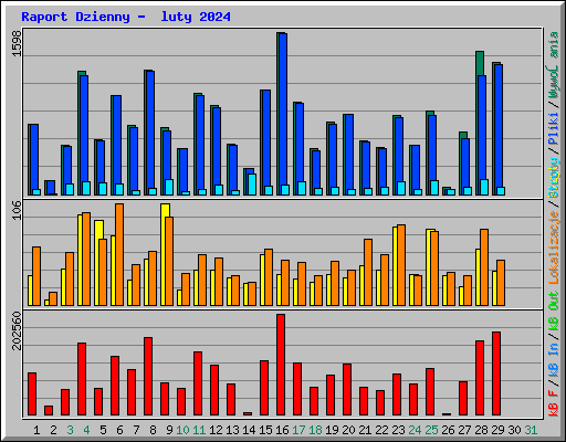 Raport Dzienny -  luty 2024