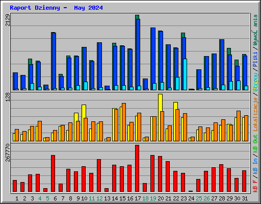 Raport Dzienny -  May 2024