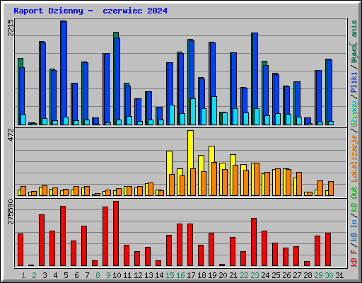 Raport Dzienny -  czerwiec 2024