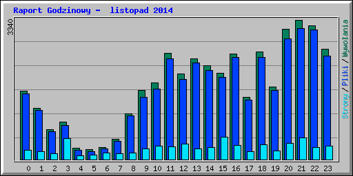 Raport Godzinowy -  listopad 2014