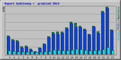 Raport Godzinowy -  grudzień 2014