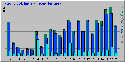 Raport Godzinowy -  czerwiec 2017