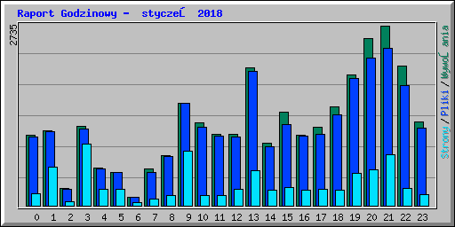 Raport Godzinowy -  styczeń 2018