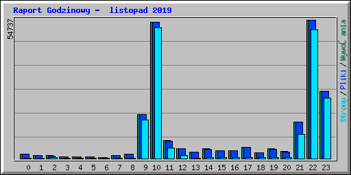 Raport Godzinowy -  listopad 2019