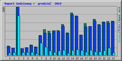 Raport Godzinowy -  grudzień 2019