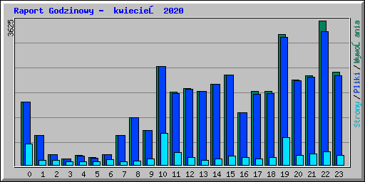 Raport Godzinowy -  kwiecień 2020