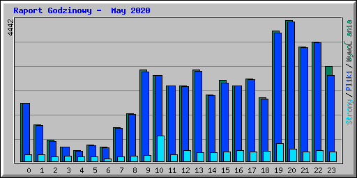 Raport Godzinowy -  May 2020