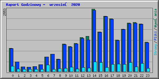 Raport Godzinowy -  wrzesień 2020