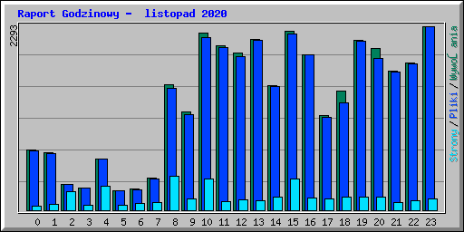 Raport Godzinowy -  listopad 2020