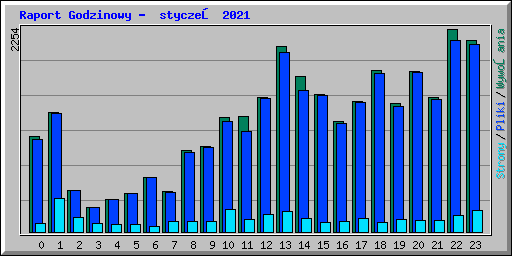 Raport Godzinowy -  styczeń 2021