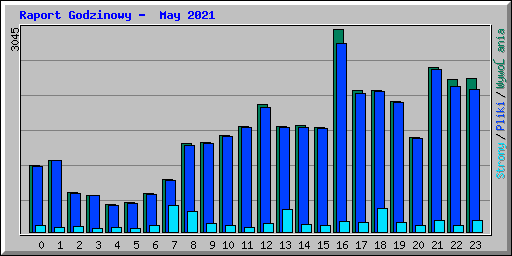 Raport Godzinowy -  May 2021