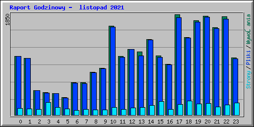 Raport Godzinowy -  listopad 2021