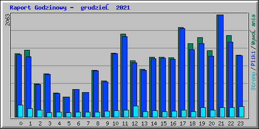 Raport Godzinowy -  grudzień 2021