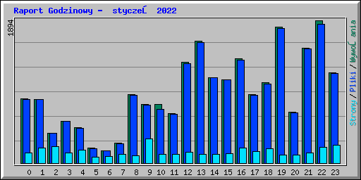 Raport Godzinowy -  styczeń 2022