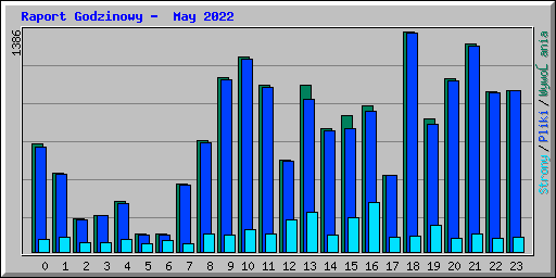 Raport Godzinowy -  May 2022