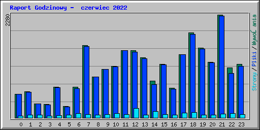 Raport Godzinowy -  czerwiec 2022