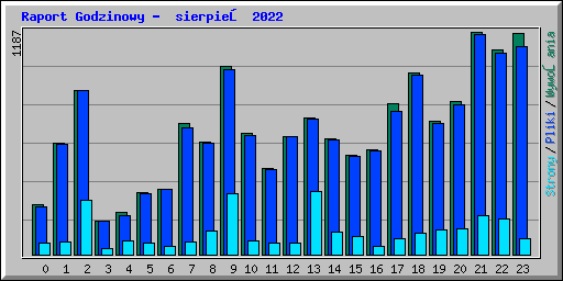 Raport Godzinowy -  sierpień 2022