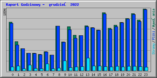 Raport Godzinowy -  grudzień 2022