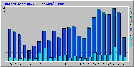 Raport Godzinowy -  styczeń 2023