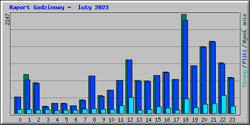Raport Godzinowy -  luty 2023