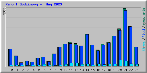 Raport Godzinowy -  May 2023