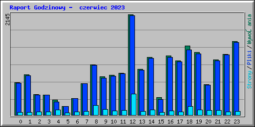 Raport Godzinowy -  czerwiec 2023