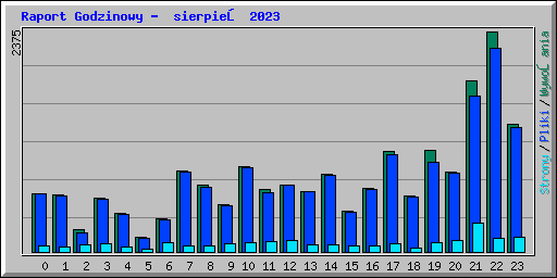 Raport Godzinowy -  sierpień 2023