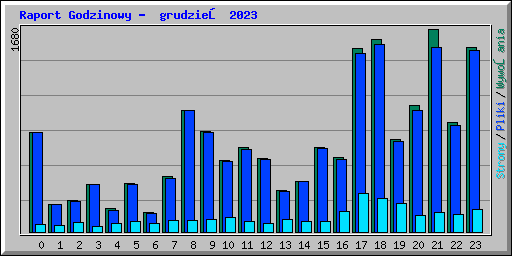 Raport Godzinowy -  grudzień 2023