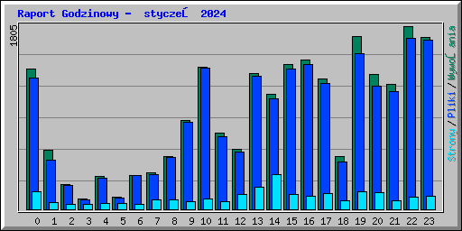 Raport Godzinowy -  styczeń 2024