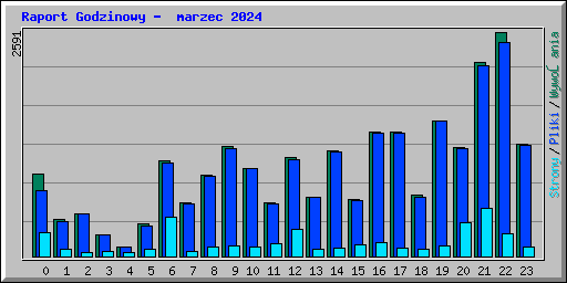 Raport Godzinowy -  marzec 2024