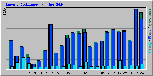 Raport Godzinowy -  May 2024