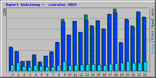 Raport Godzinowy -  czerwiec 2024