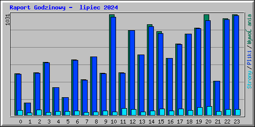 Raport Godzinowy -  lipiec 2024