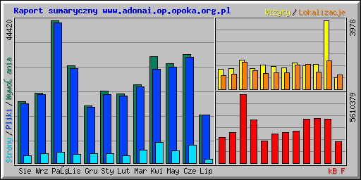 Raport sumaryczny www.adonai.op.opoka.org.pl